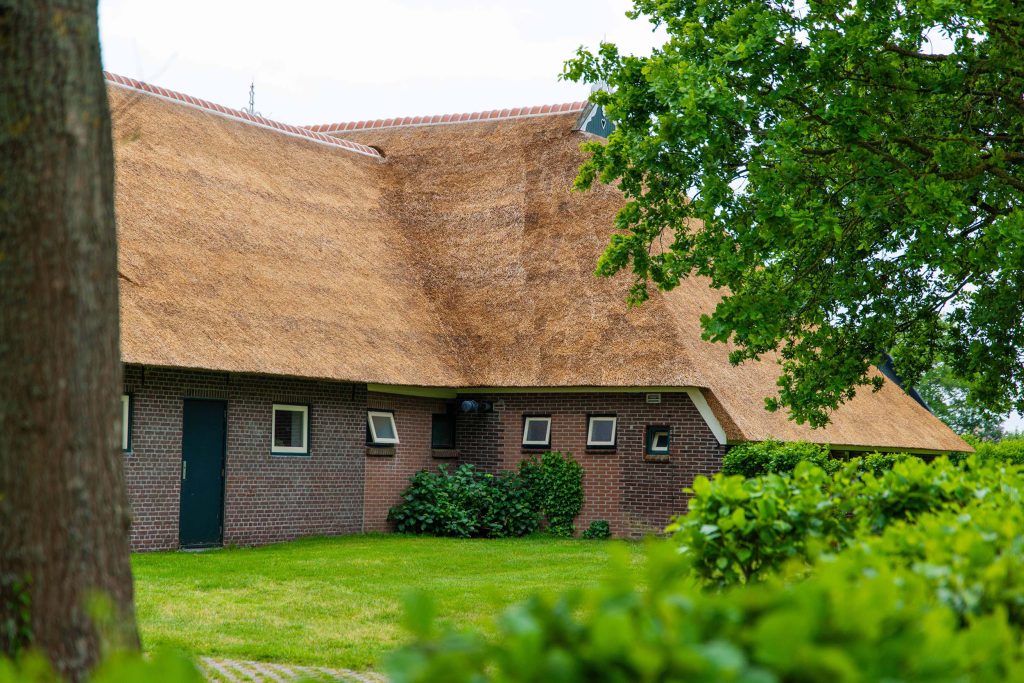 Kiewiet's Hoeve Ameland - vervanging rieten dak